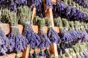 gorup of lavender satchels. lavender farms are one of the best things to do in blanco texas for sale at one of the lavender farms in texas