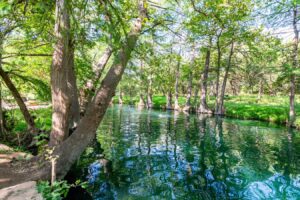view of the blue hole wimberley from the shore, one of the best things to do in the texas hill country
