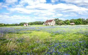 19th century farmhouse in marble falls tx with a field of bluebonnets in the foreground. Visiting this scenic spot is one of the most fun things to do in marble falls tx