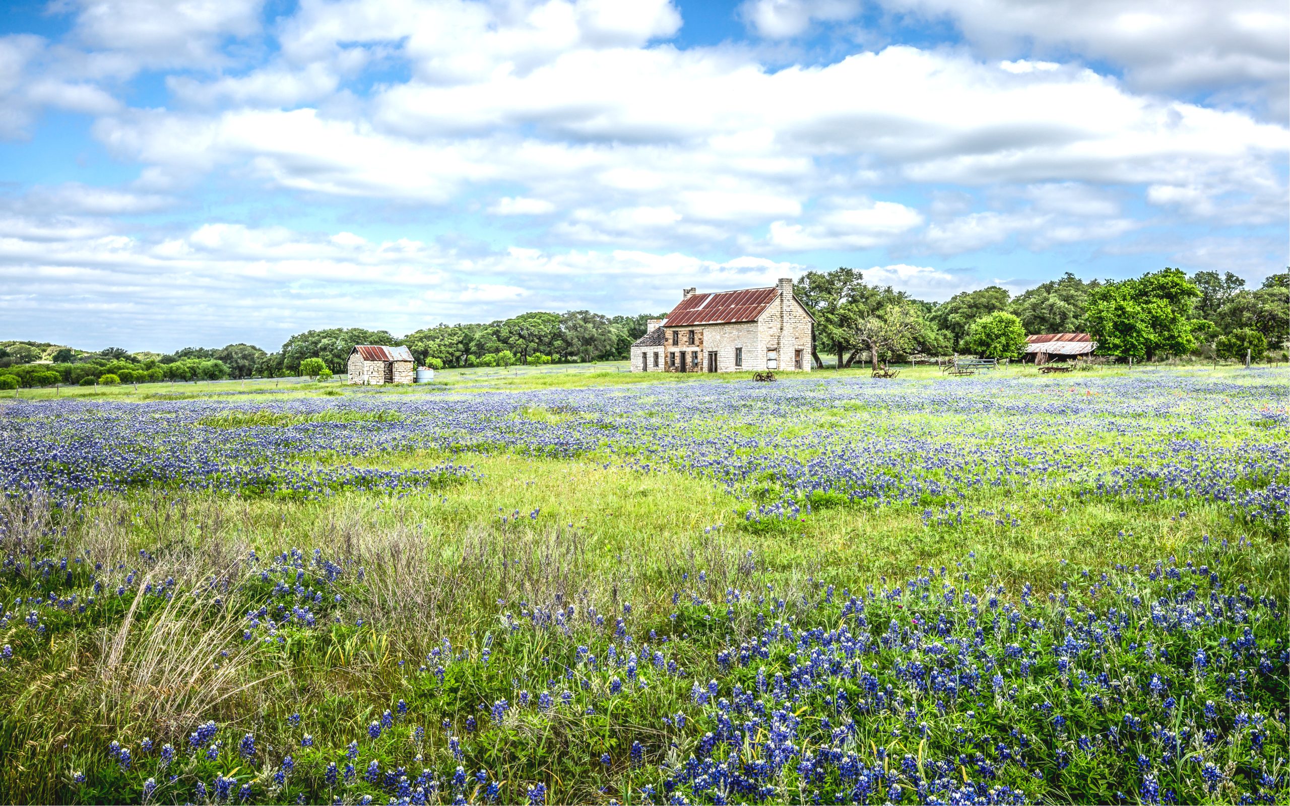 19th century farmhouse in marble falls tx with a field of bluebonnets in the foreground. Visiting this scenic spot is one of the most fun things to do in marble falls tx