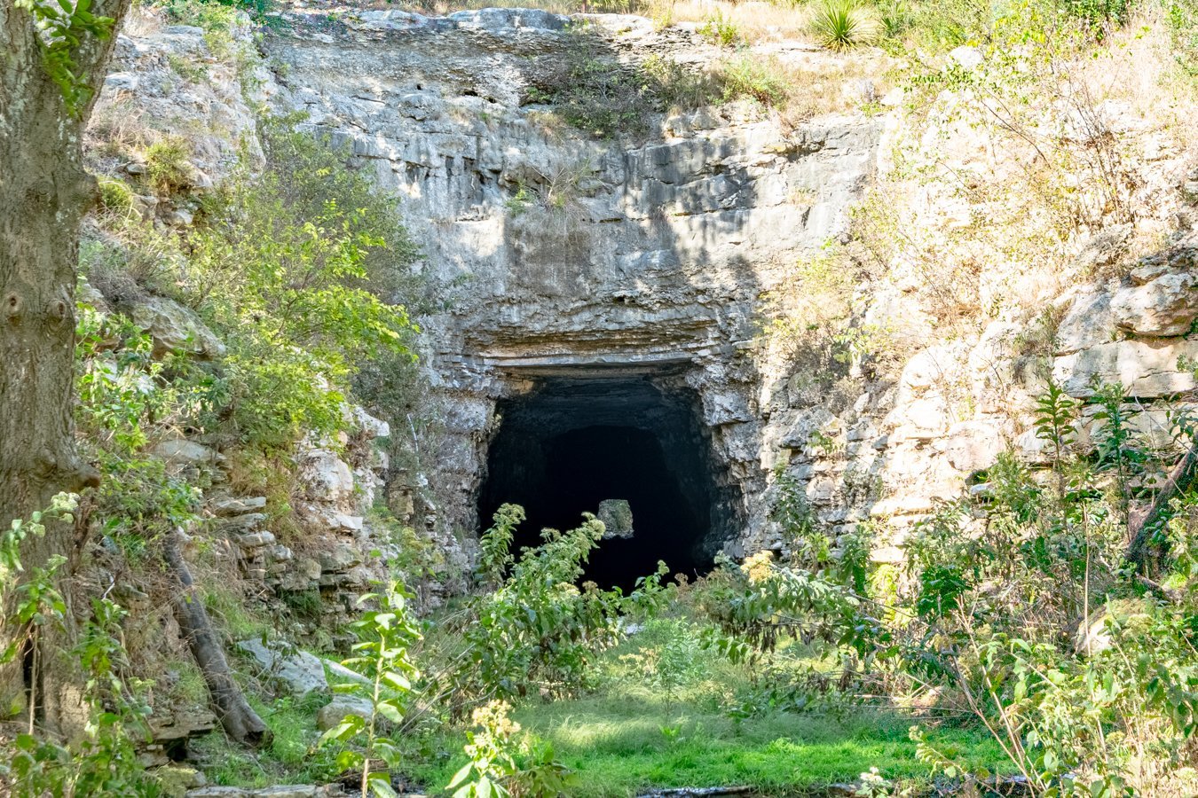 bat tunnel in texas old tunnel state park as seen from the nature trail