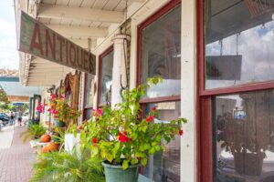 front facade of an antique shop with flowers blooming out front and a hanging sign that reads "antiques" in one of the best small towns in texas