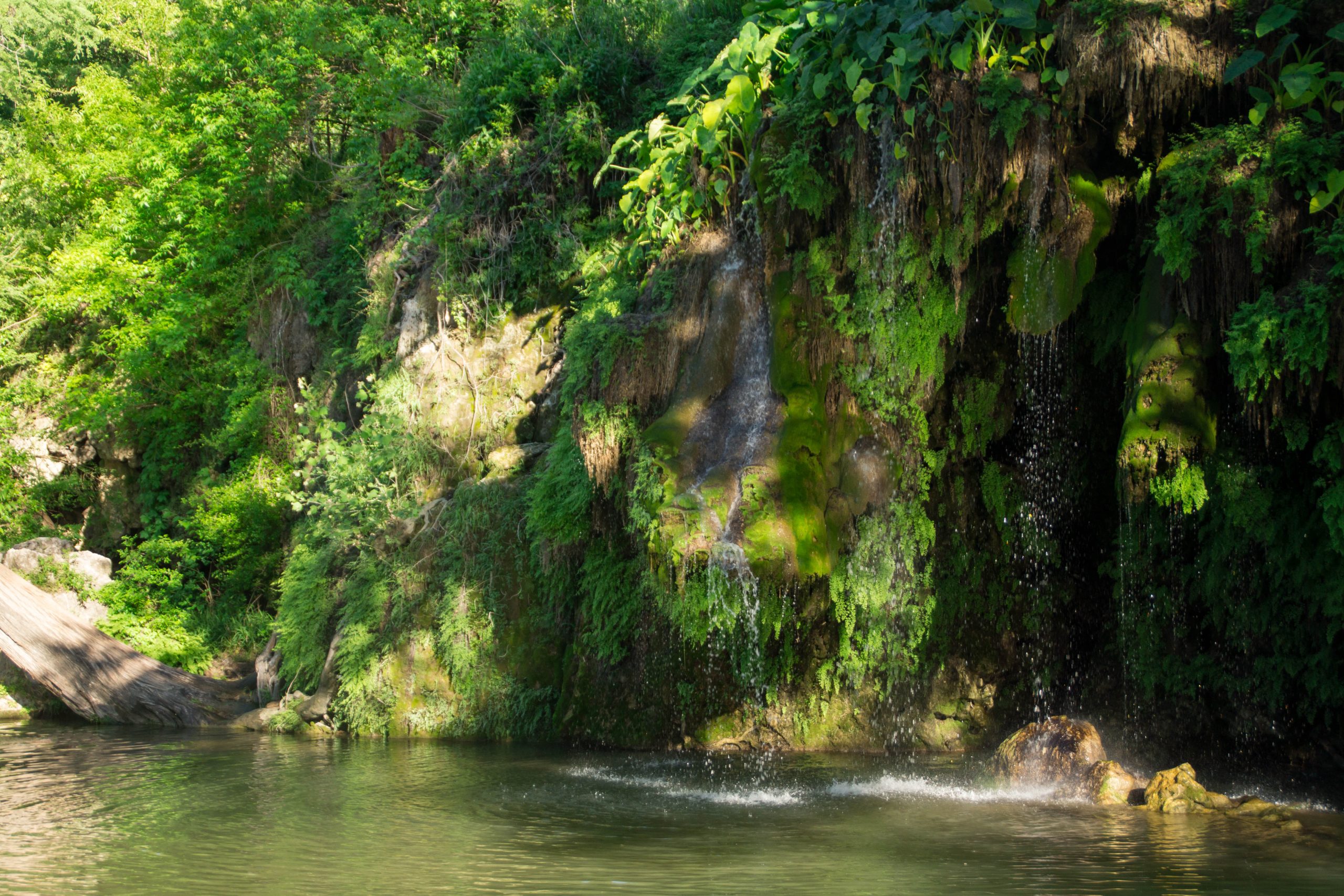 small waterfall into a pool at krause springs, one of the fun things to do in spicewood texas