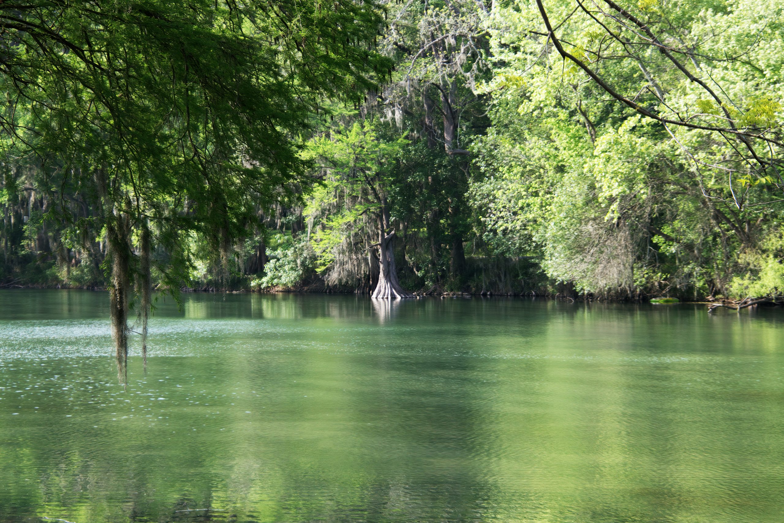 view of comal river, a popular place for tubing in texas, aka floating the river texas
