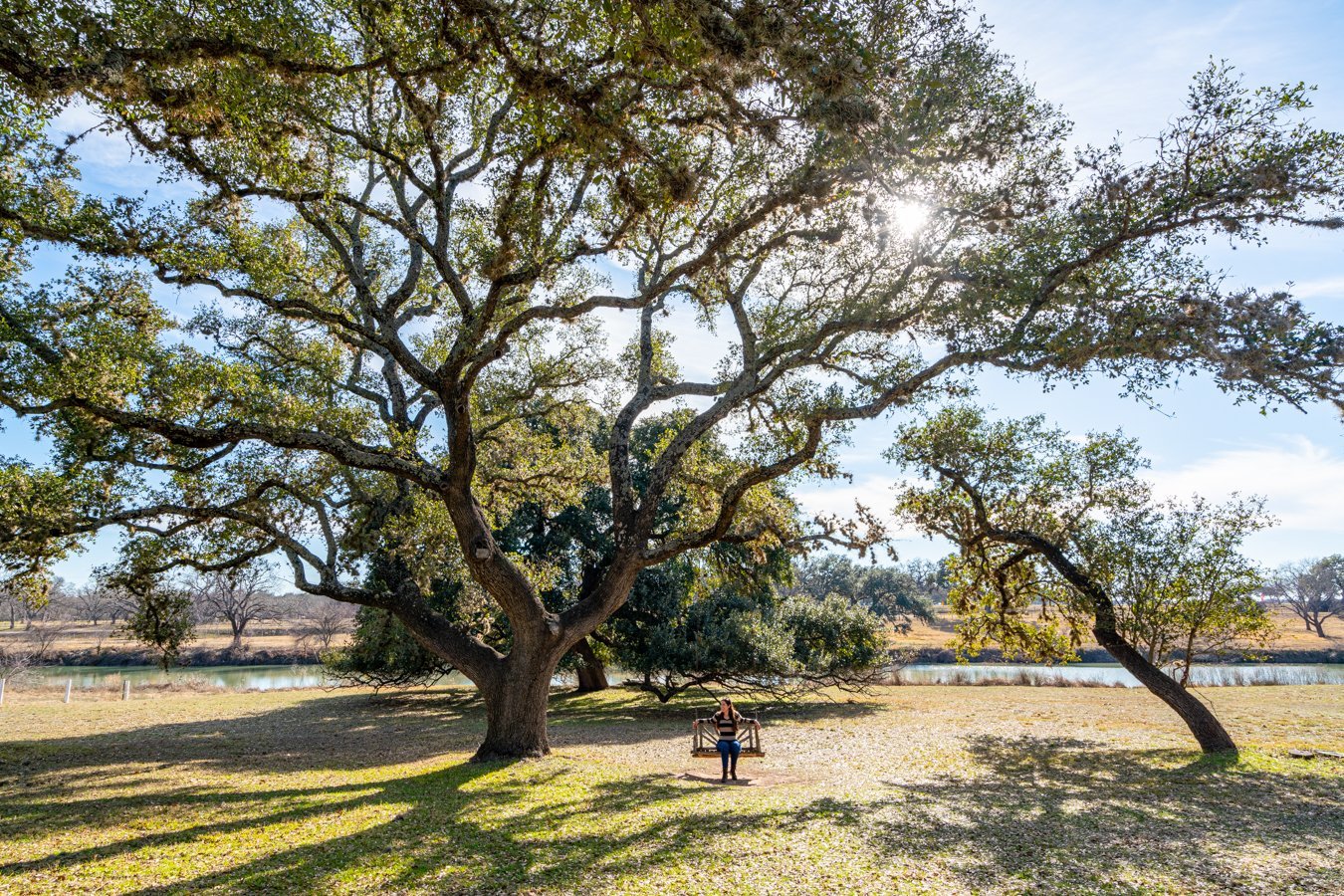 kate storm sitting on a swing under a texas live oak during the austin to fredericksburg drive