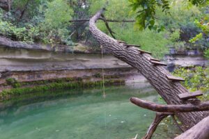 tree with wooden planks leading to a rope swing over the water, a popular setup at the best austin swimming holes