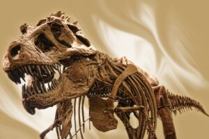 statue of a t rex fossil, an impressive sight to visit in museums covering dinosaurs in texas